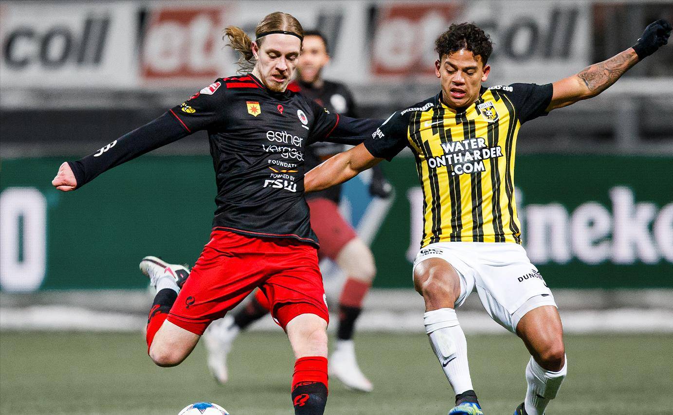 成功抓住安 成功抓住安